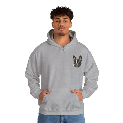 Pet Cartoon Hoodie