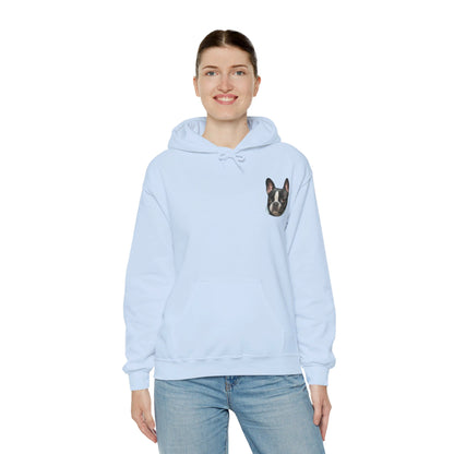 Pet Cartoon Hoodie