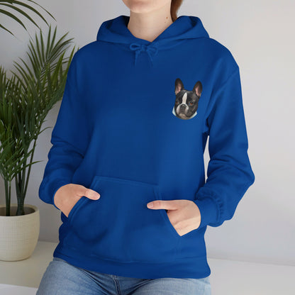 Pet Cartoon Hoodie