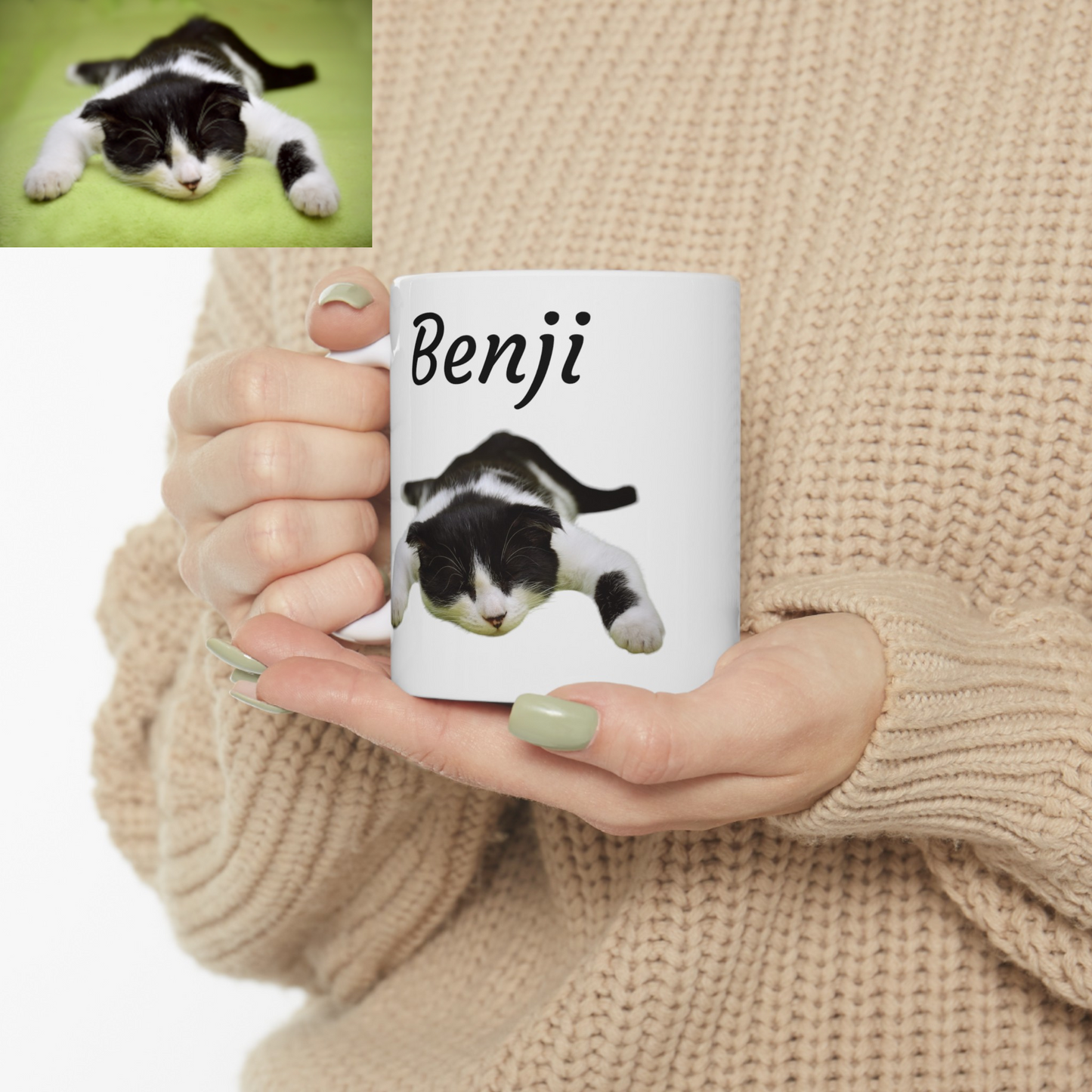 Custom Pet Photo Mug (No Background)